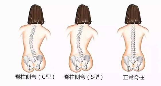 坚持这样练1周不仅小腹紧致四肢变得纤细有型气BOB半岛中国官方网站质也秒涨(图4)