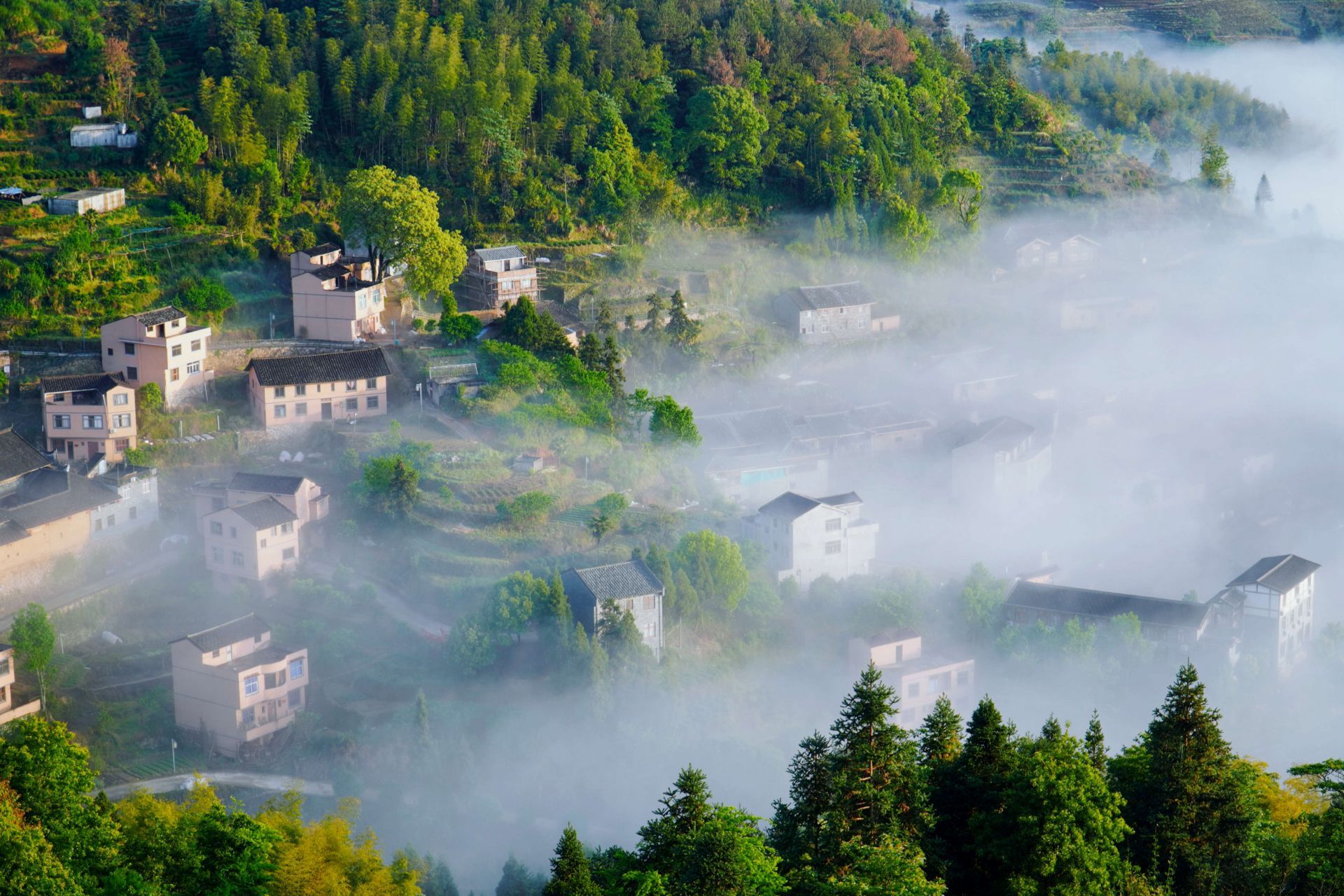 乡BOB半岛贤反哺助推乡村振兴的“南岩探索”(图4)