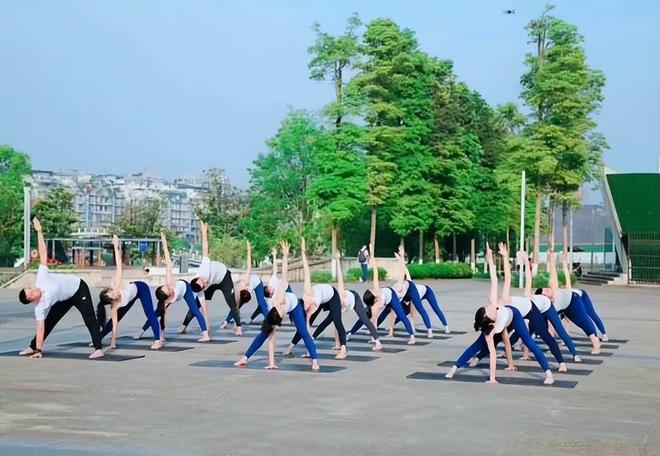 求实、静观、回归、安住、自在--专访瑜伽大师王译珩BOB半岛中国官方网站先生(图7)