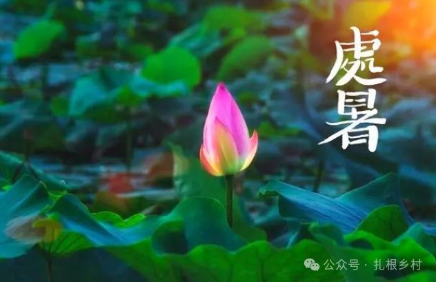 今日处暑一年中秋半岛·BOB官方网站燥最严重的15天到了建议做三事忌三事平安入秋(图3)