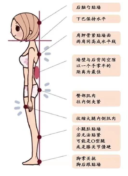 女人变美不难懂“半岛·BOB官方网站健身瘦”和“饿瘦”区别在哪对比图给你答案(图14)