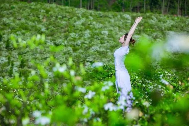 【瑜伽节】当瑜伽节遇上拈花湾真的会很美BOB半岛中国官方网站！(图8)