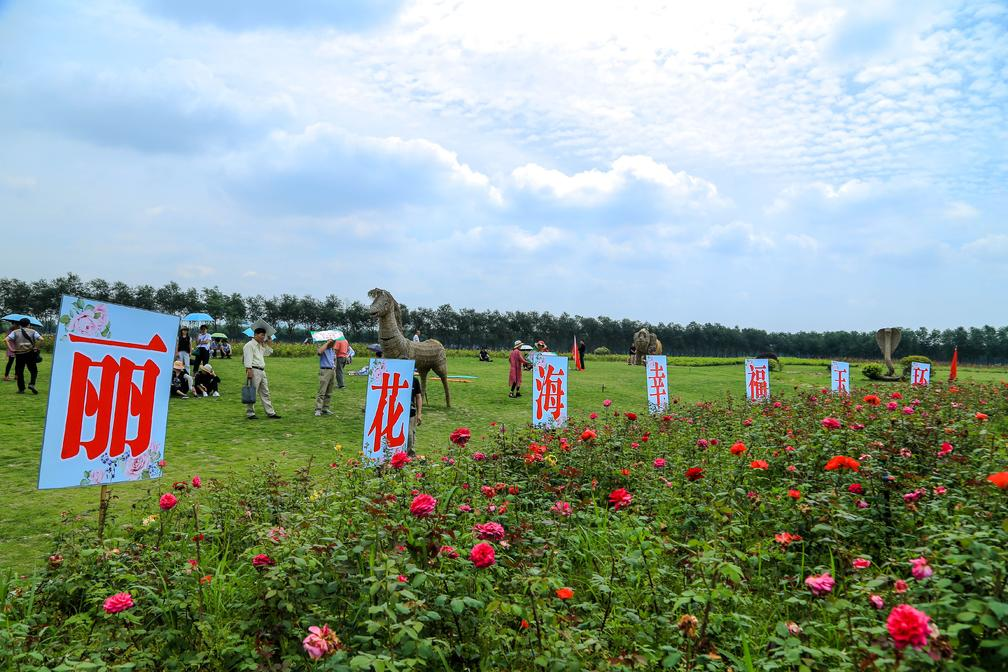 歌舞玉环畅享“中半岛·BOB官方网站国旅游日”艺术鹿岛舞动曼妙瑜伽(图16)