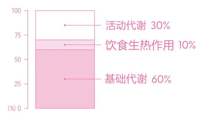 同样过冬天为什么别人享BOB半岛中国官方网站“瘦”你在胖？(图13)