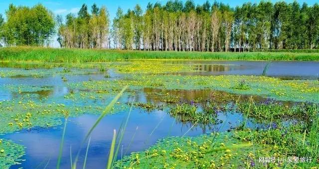 辽阳的BOB半岛湿地风光秀美为你带来自然的舒适体验(图3)