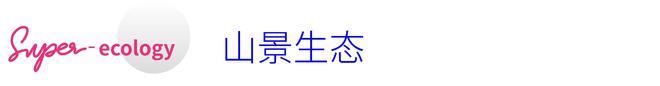 万科未来之光售楼处(官方)楼盘详情-房价-户型BOB半岛中国官方网站-容积率-小(图8)